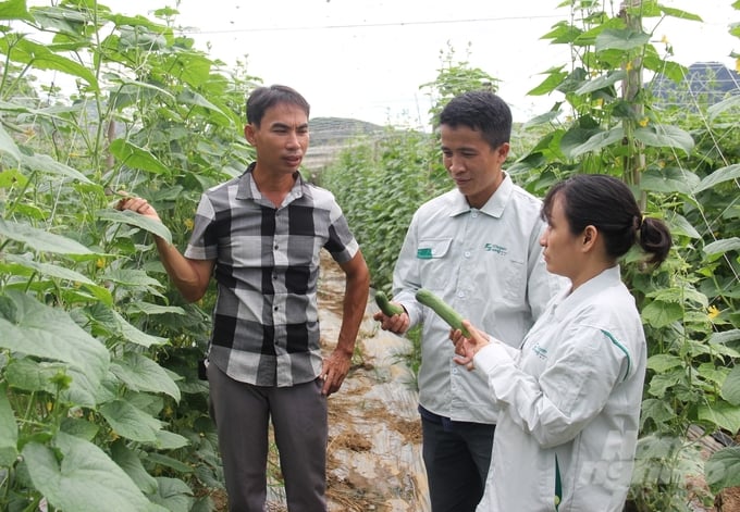 ‘Cánh tay nối dài’ thực chất trong chuỗi sản xuất