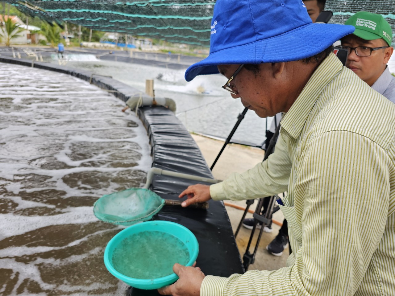 Đây là công nghệ nuôi tôm thẻ chân trắng giảm chi phí đang ứng dụng thành công ở Khánh Hòa