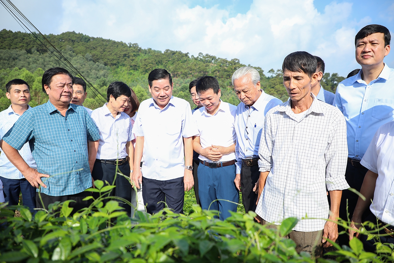 Làm việc với lãnh đạo tỉnh Bắc Giang, Bộ trưởng Lê Minh Hoan gợi mở điều gì để nông nghiệp tỉnh này phát triển?