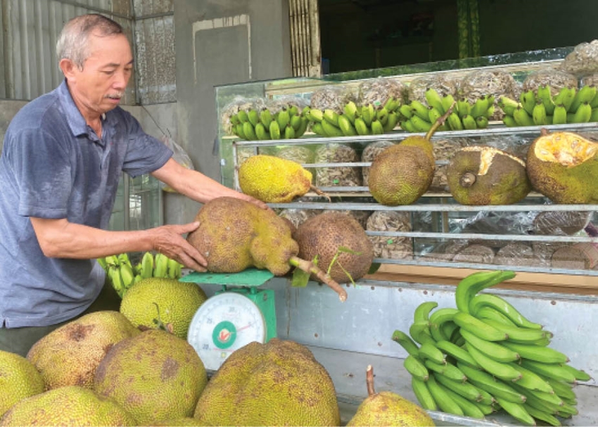 Loại quả ngon đang bán hút hàng tại chợ quê, chợ phố ở TT-Huế, đi đâu cũng thấy thơm lừng