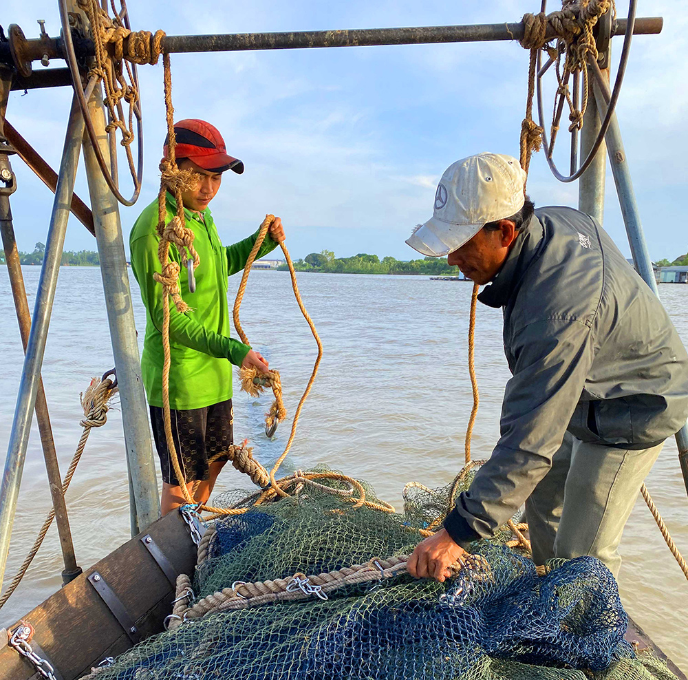 Mùa mưa, ra chợ thấy bán toàn cá đồng mang bụng trứng, lại lo nhiều loài cá sẽ biến mất