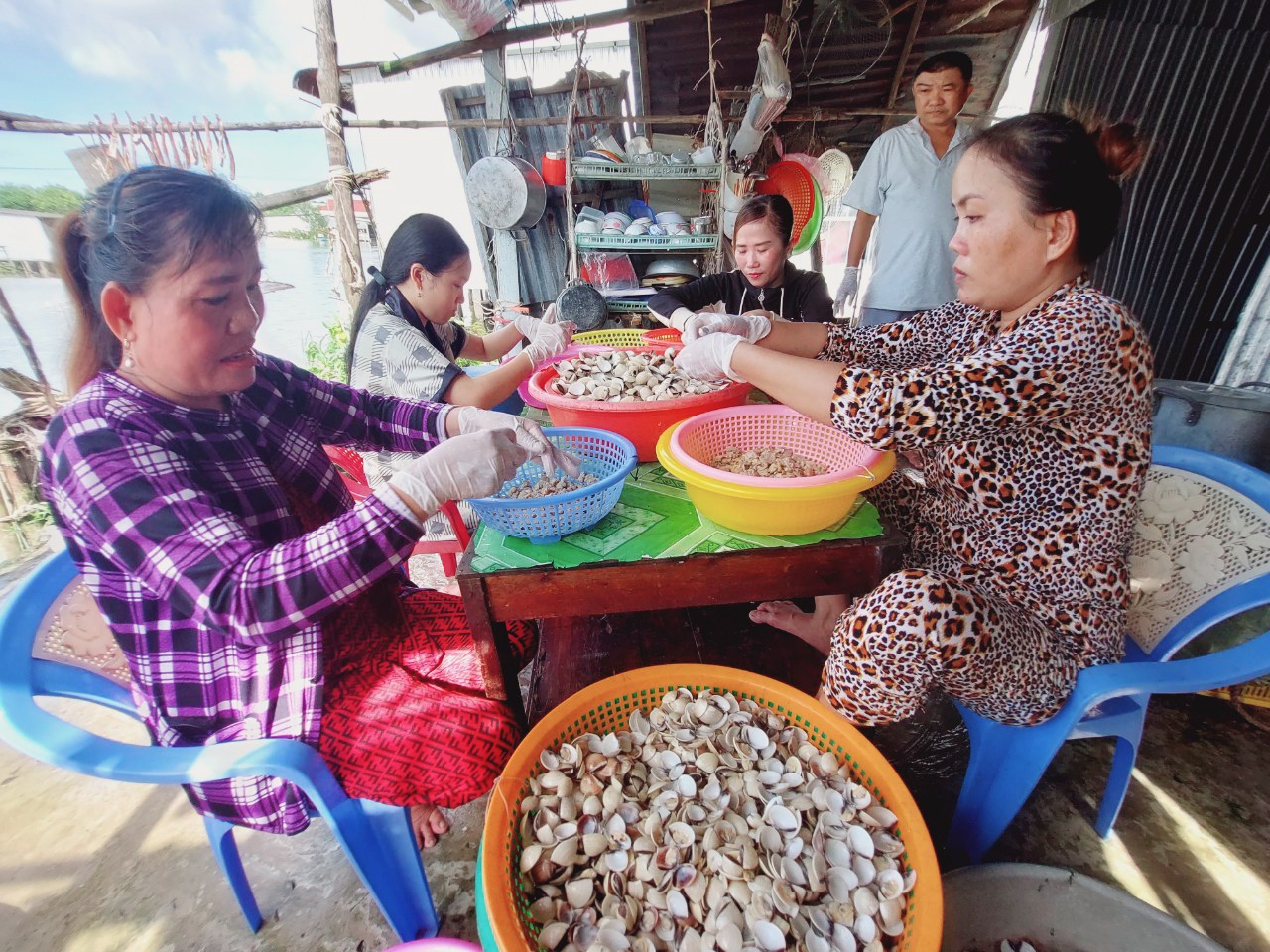 Nông dân Cà Mau nuôi con 2 mảnh, bán tươi giá bình dân, làm cách này bán “giá nhà giàu”, đó là con gì?