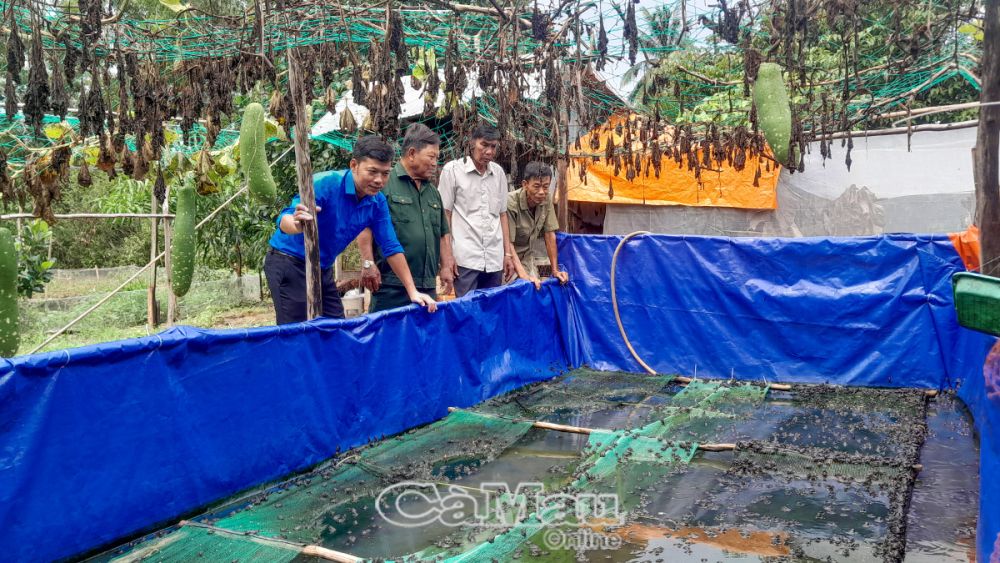 Nuôi đủ thứ con, ếch, dế, rắn mối, cựu chiến binh Cà Mau thu 150 triệu đồng nhàn tênh