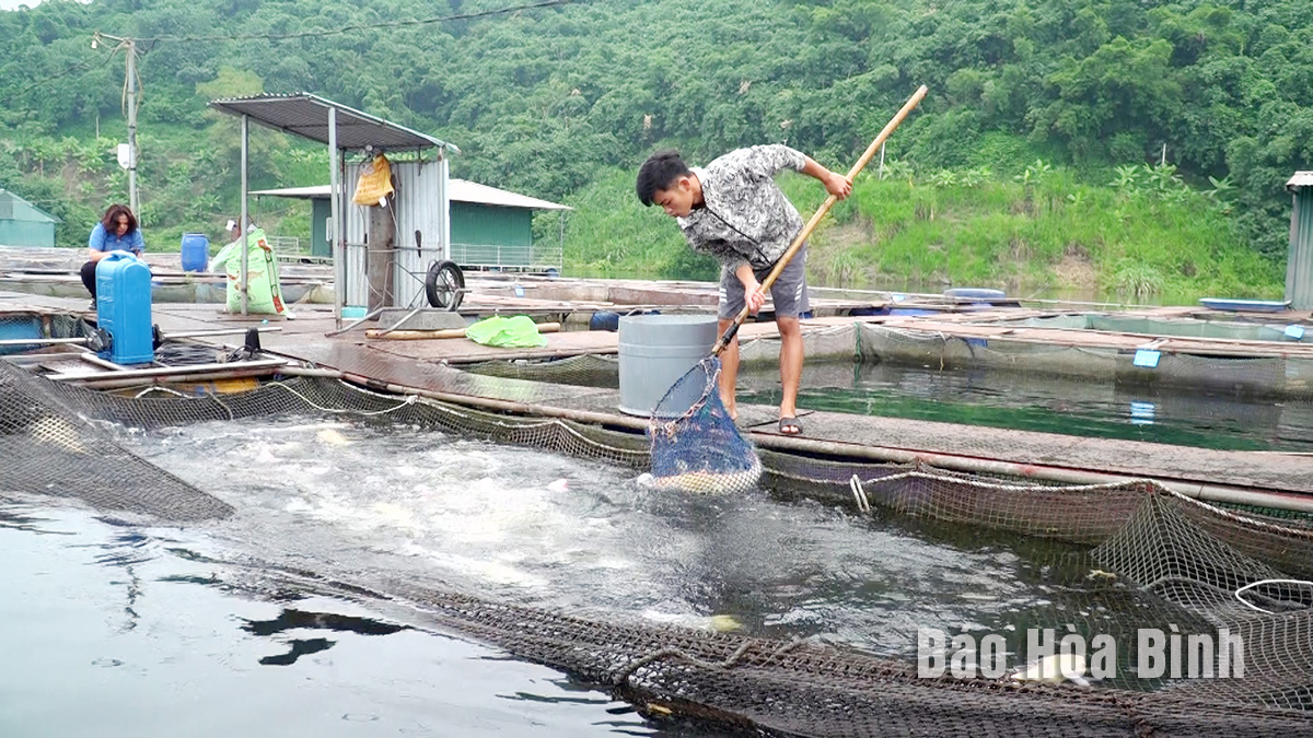 Ở một cái hồ nước ngọt khổng lồ trên Hòa Bình, dân vợt lên cá to bự, làm du lịch đang hút khách