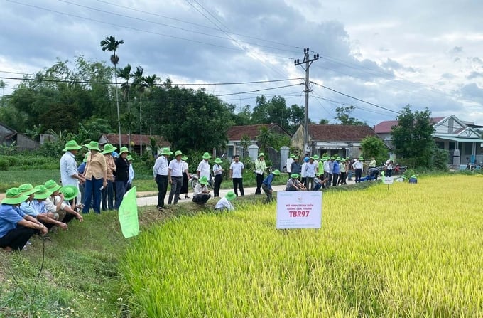 TBR97 ‘vững như kiềng 3 chân’ trước mưa to, gió lớn