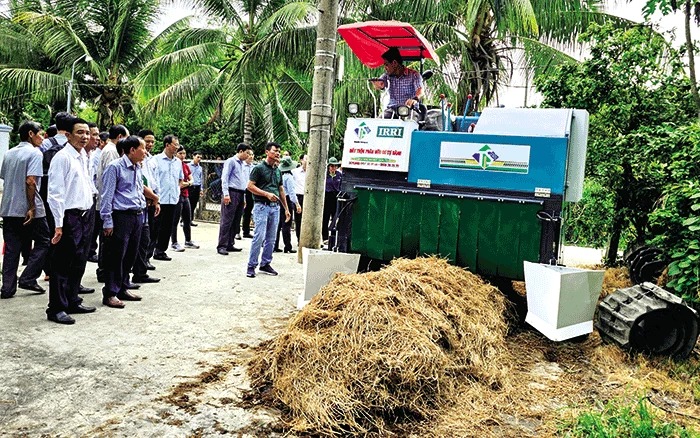 Thứ xưa nay vứt đầy đồng nay thành nguyên liệu để nông dân Cần Thơ làm kinh tế tuần hoàn