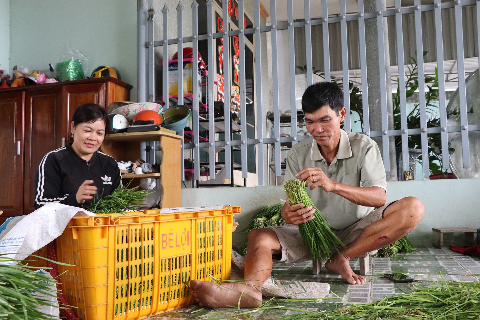 Trồng thành công loại rau giàu vitamin nhóm B, vợ chồng nông dân Bà Rịa-Vũng Tàu có “lương” cao