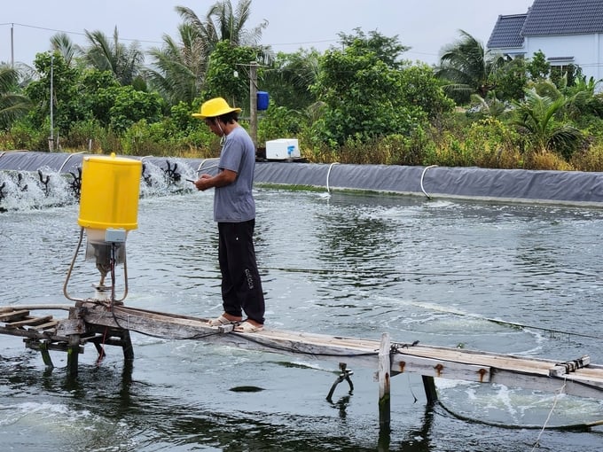 Agribank trợ lực vốn, phát triển nuôi tôm siêu thâm canh ở Cà Mau