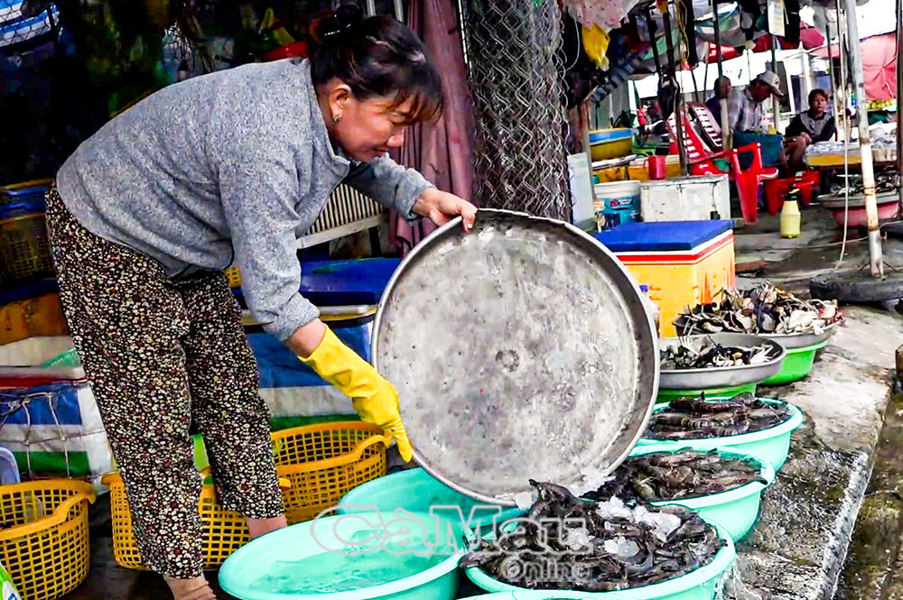 Chấn Hưng (Báo Cần Thơ)