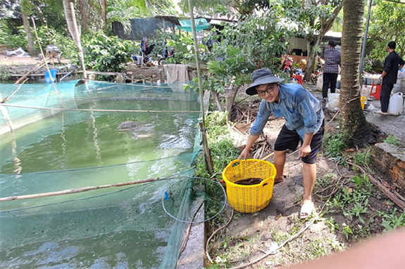 Dựng vèo nuôi loài cá ngon ở Hậu Giang, xúc lên, hễ thấy là khối người muốn mua, bán 50.000 đồng/kg