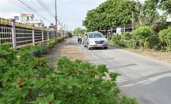 Đường nông thôn mới trồng hoa đậu biếc ở Trà Vinh, thiên hạ tha hồ chụp hình, dân lại có thêm tiền chợ