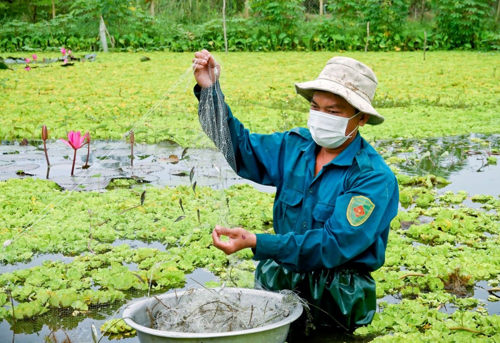 Ghép hai con đặc sản này “chung nhà”, “chả thấy cãi nhau”, trai Cần Thơ bắt con nào lên bán cũng hết veo