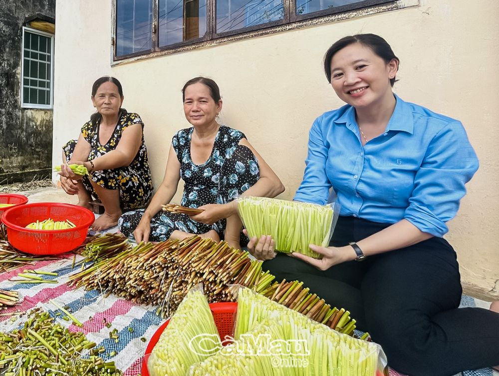 Loại cỏ dại vị ngọt ở đất Cà Mau mọc la liệt, dân nhổ lên bóc thành rau đặc sản vạn người mê