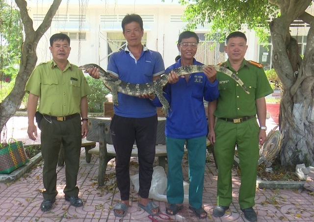 Một con động vật hoang dã có tên trong sách Đỏ Việt Nam, sách Đỏ thế giới vừa được tiếp nhận ở Đồng Tháp