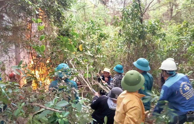 Nghệ An: Nỗ lực chữa cháy rừng, hai cán bộ Ban quản lý rừng phòng hộ Nghi Lộc bị bỏng, phải đi cấp cứu