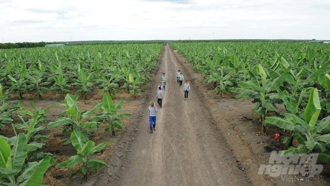 Nông nghiệp ở Unifarm: [Bài 1] Từ vùng đất nghèo đến mô hình nông nghiệp hiện đại