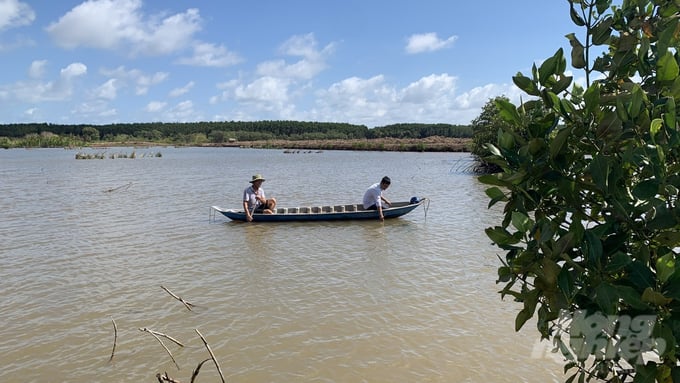 Nuôi thủy sản dưới tán rừng hướng đến phát thải thấp