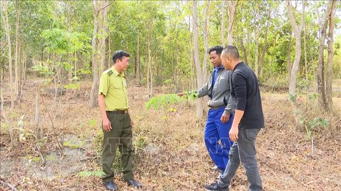 Ở một làng xa xôi của Gia Lai, dân ngày đêm canh chừng rừng gỗ quý-loài cây có tên trong sách Đỏ Việt Nam