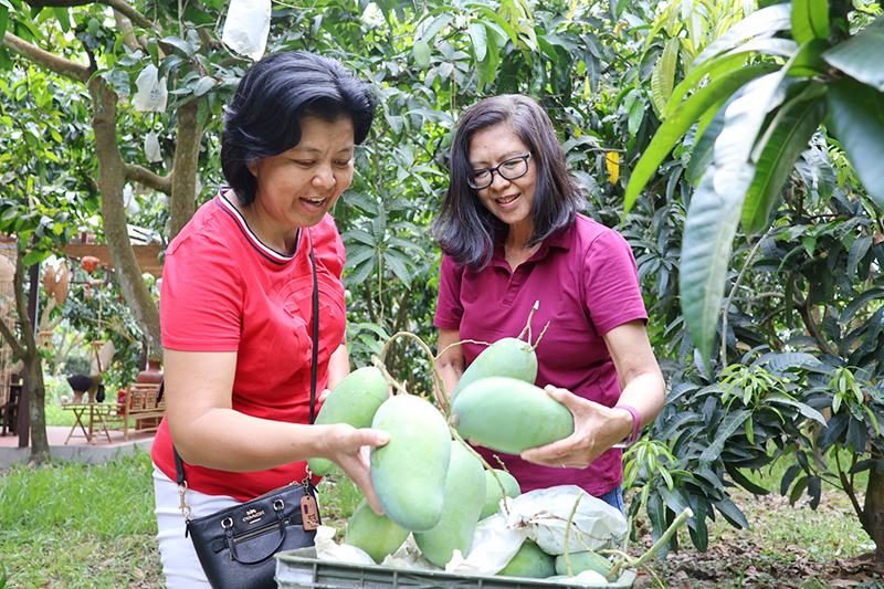 Ở một nơi của Đồng Tháp, thiên hạ đến chơi, bẻ trái ngon đặc sản cầm nặng đẫy cả tay, ai cũng mê tơi