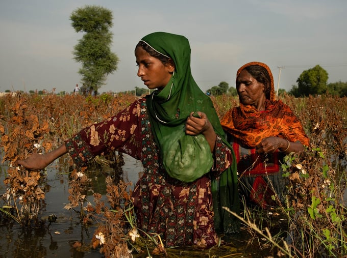 Pakistan đưa ra sáng kiến để bảo vệ quyền lợi của phụ nữ làm nông