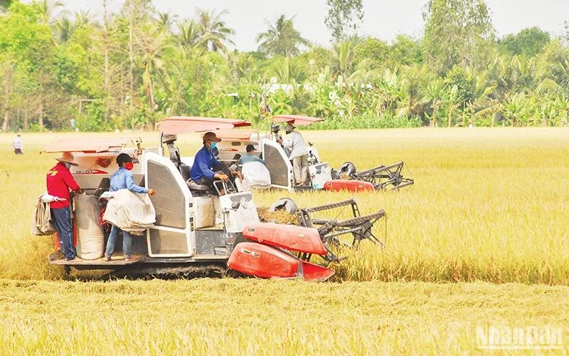 Tạo đà cho kinh tế tuần hoàn lúa gạo