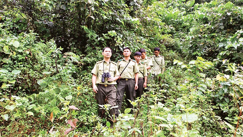 Tháo gỡ khó khăn trong quản lý, sử dụng đất rừng