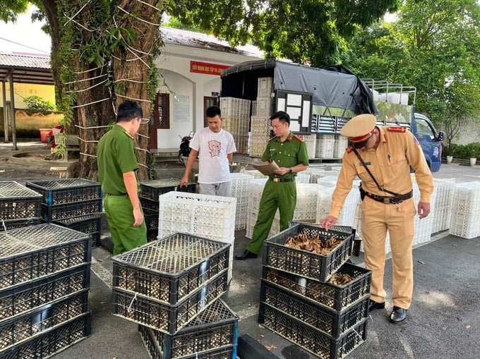 Trứng gia cầm không rõ nguồn gốc tuồn vào Việt Nam theo đường Móng Cái