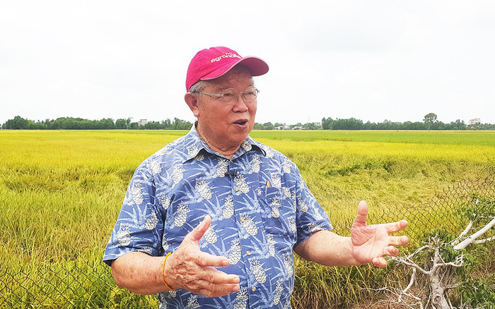 Viện trưởng Viện Lúa ĐBSCL: GS Võ Tòng Xuân là người tiên phong xây dựng hệ thống canh tác lúa ở đồng bằng