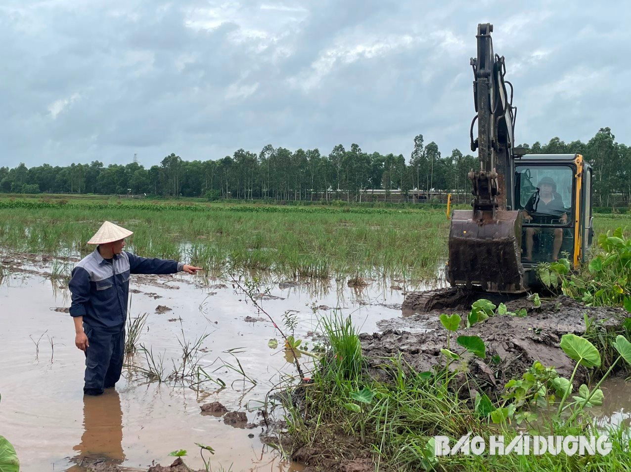 Vừa hoàn lương, người đàn ông ở Hải Dương quyết “ôm” 18ha ruộng hoang khởi nghiệp làm giàu