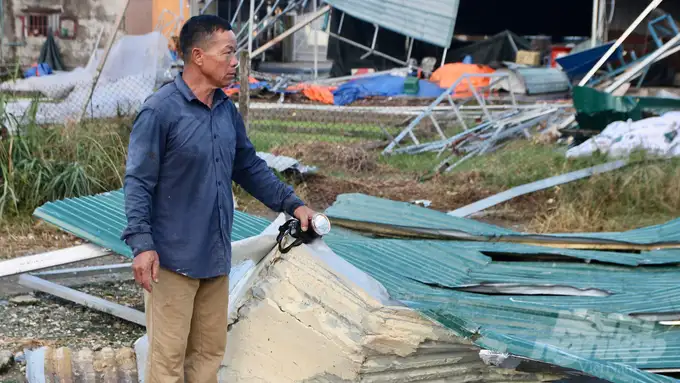 Chăn nuôi tan tác sau bão lũ: ‘Cả đời tích góp về số không’