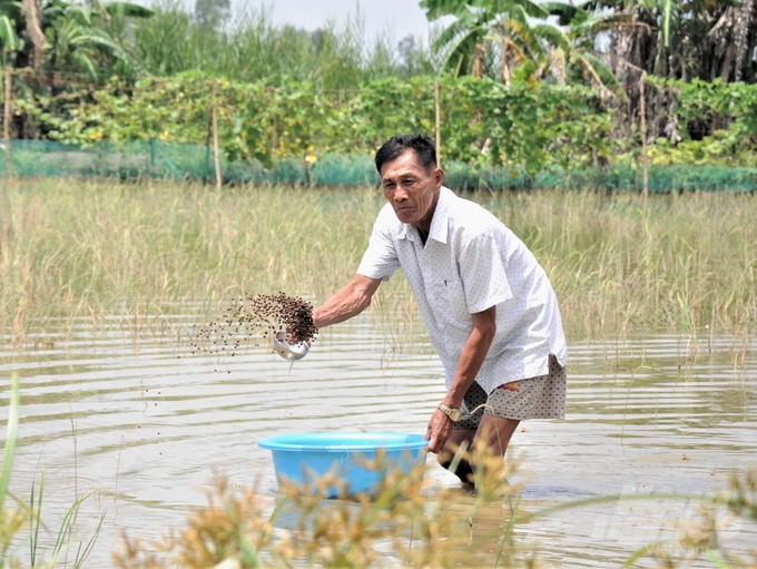 Chuyển đổi gần 15.000ha đất lúa sang cây trồng khác, hiệu quả tăng gấp 2 – 4 lần