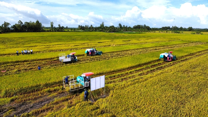 Đề án 1 triệu ha: Mục đích là giảm chi phí, giảm phát thải, tăng lợi nhuận