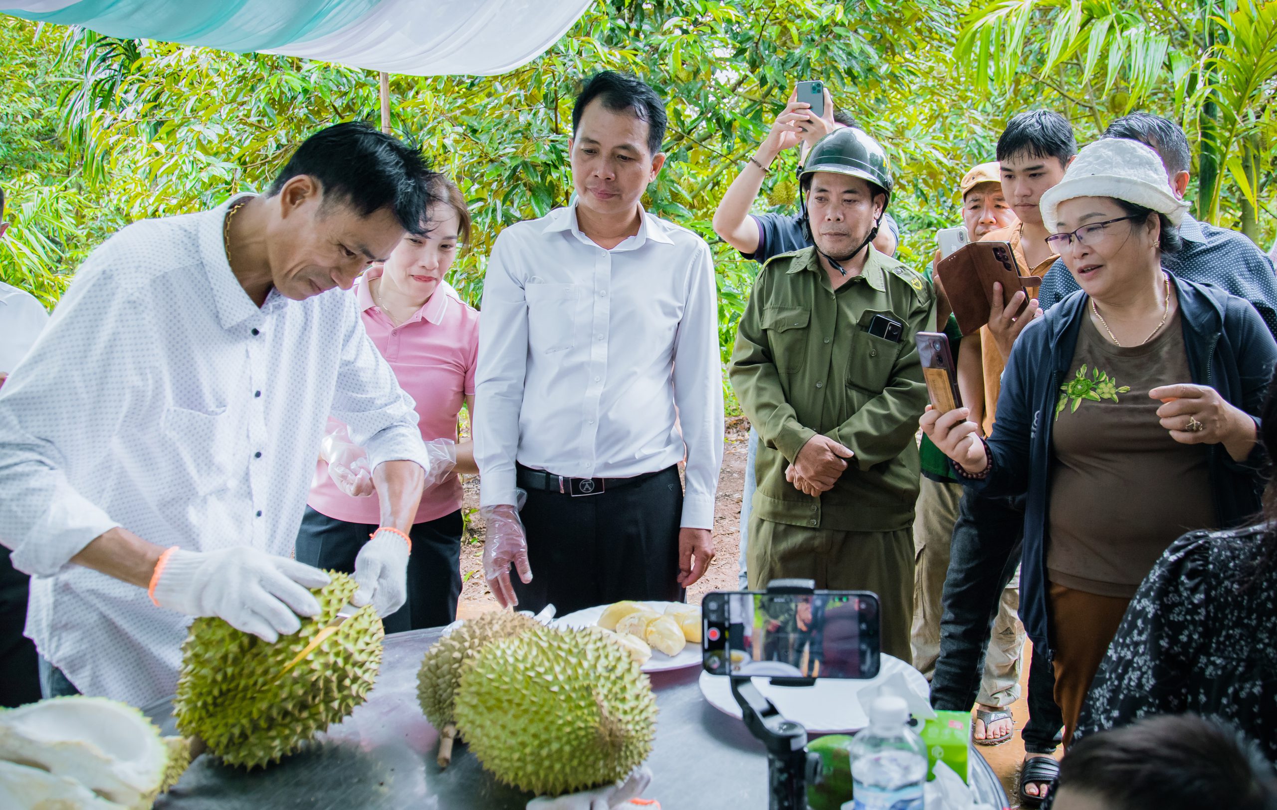 Gần 3 tỷ đồng thu được từ bán 3 quả sầu riêng ở lễ hội sầu riêng tại Đắk Lắk dùng vào những việc này