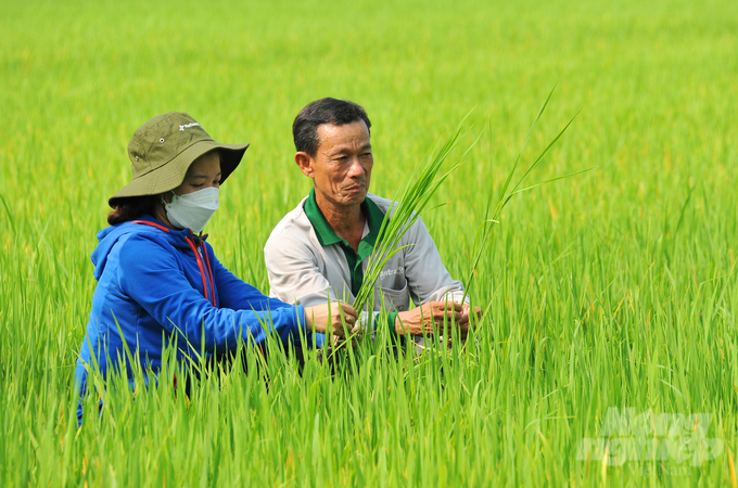 GIC giúp nông dân, HTX thay đổi tư duy sản xuất nông nghiệp