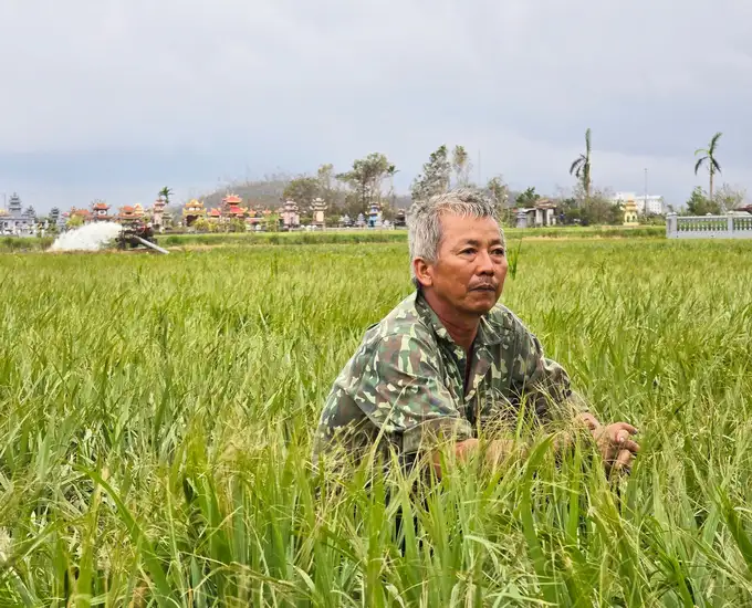 Hải Phòng tạo điều kiện tốt nhất vốn vay để tái sản xuất nông nghiệp