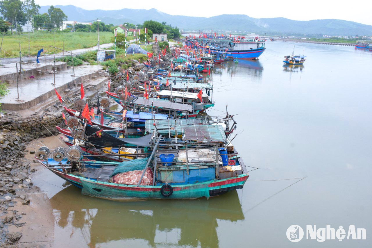 Người dân ven biển Nghệ An ‘chạy đua’ chống siêu bão Yagi