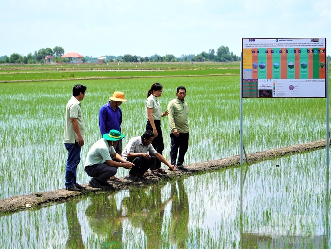 Nhìn lại thắng lợi vụ hè thu: Vụ lúa vượt xa kỳ vọng