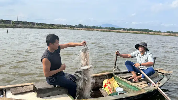 Nuôi ghép tôm sú, cua biển và cá đối mục, tiền rủng rỉnh