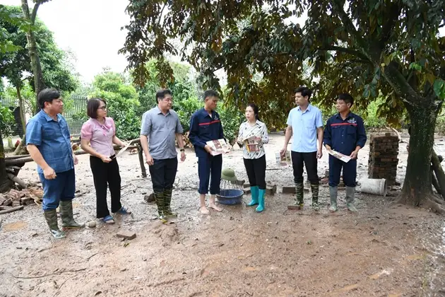 Trung tâm Khuyến nông quốc gia ban hành quy trình hướng dẫn khôi phục sản xuất nông nghiệp sau bão lũ