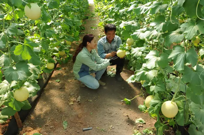 Bình Dương bàn giải pháp phát triển nông nghiệp sinh thái, hữu cơ, tuần hoàn