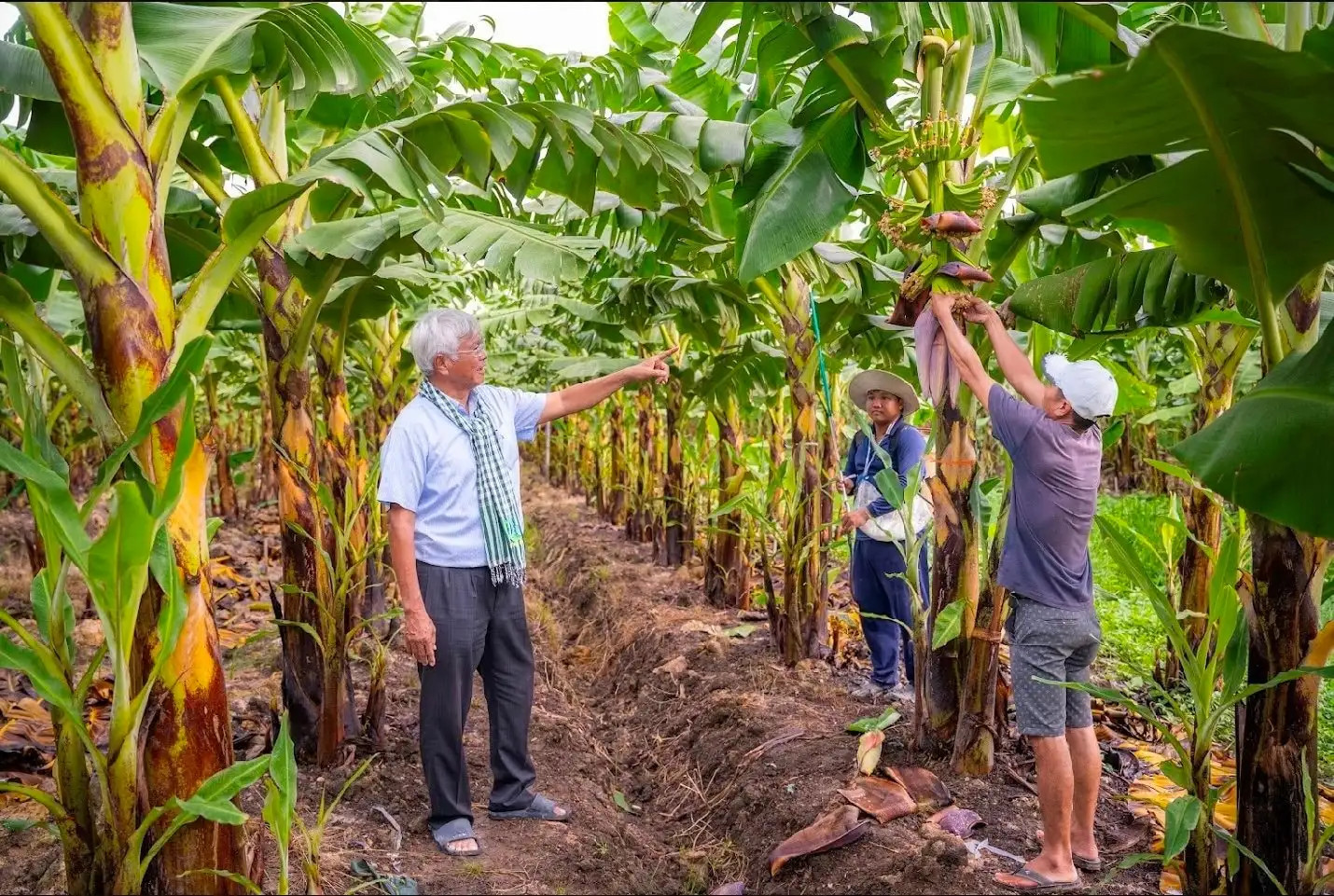 Diễn đàn Nông dân Quốc gia lần thứ IX: “Vua chuối”, “tỷ phú gà lạnh” đề xuất cơ chế sử dụng một số loại đất