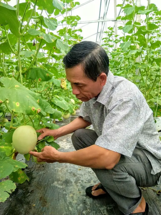 Hậu Giang phát triển OCOP: Gắn kết công nghệ 4.0 và văn hóa để phát triển bền vững