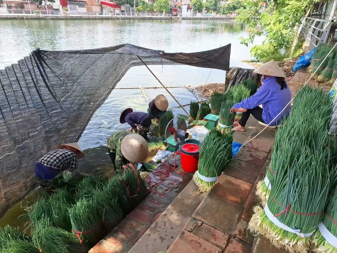 Huyện Phúc Thọ và hành trình phát triển nông thôn sinh thái, thông minh, bền vững