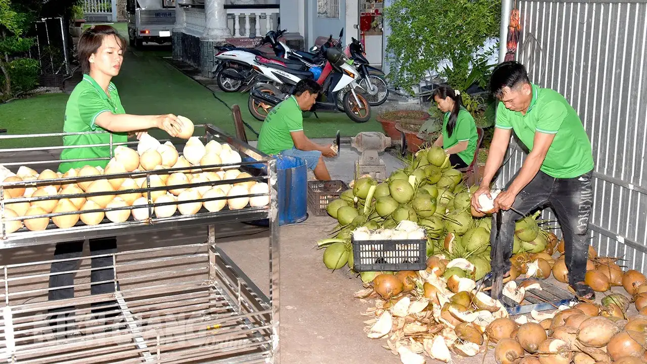 Loại quả ngon này ở Kiên Giang bỗng được khắc chữ, chạm khoen, bán tốt hẳn lên