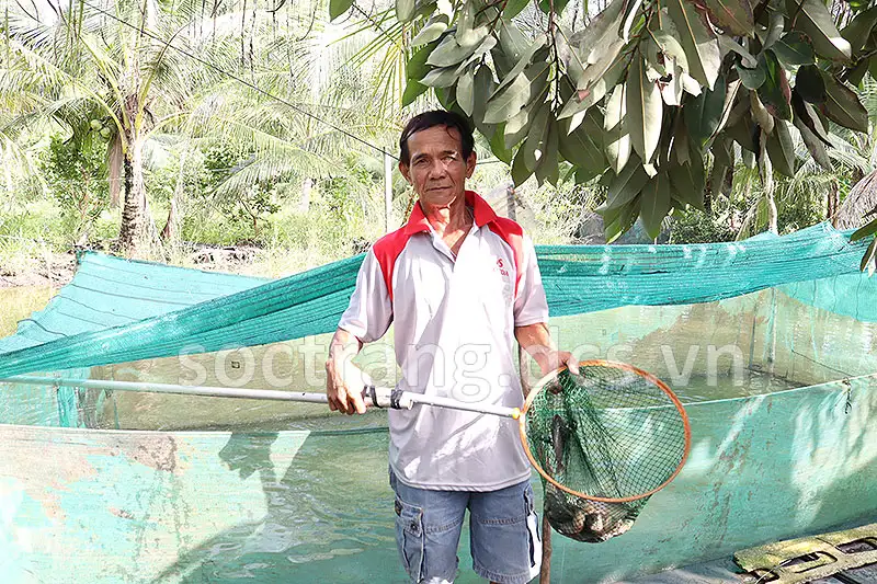 Mang tiếng nuôi “ôm đồm, thập cẩm” dưới ao, ai ngờ ông nông dân Sóc Trăng lại có “lương cao”, toàn con đặc sản