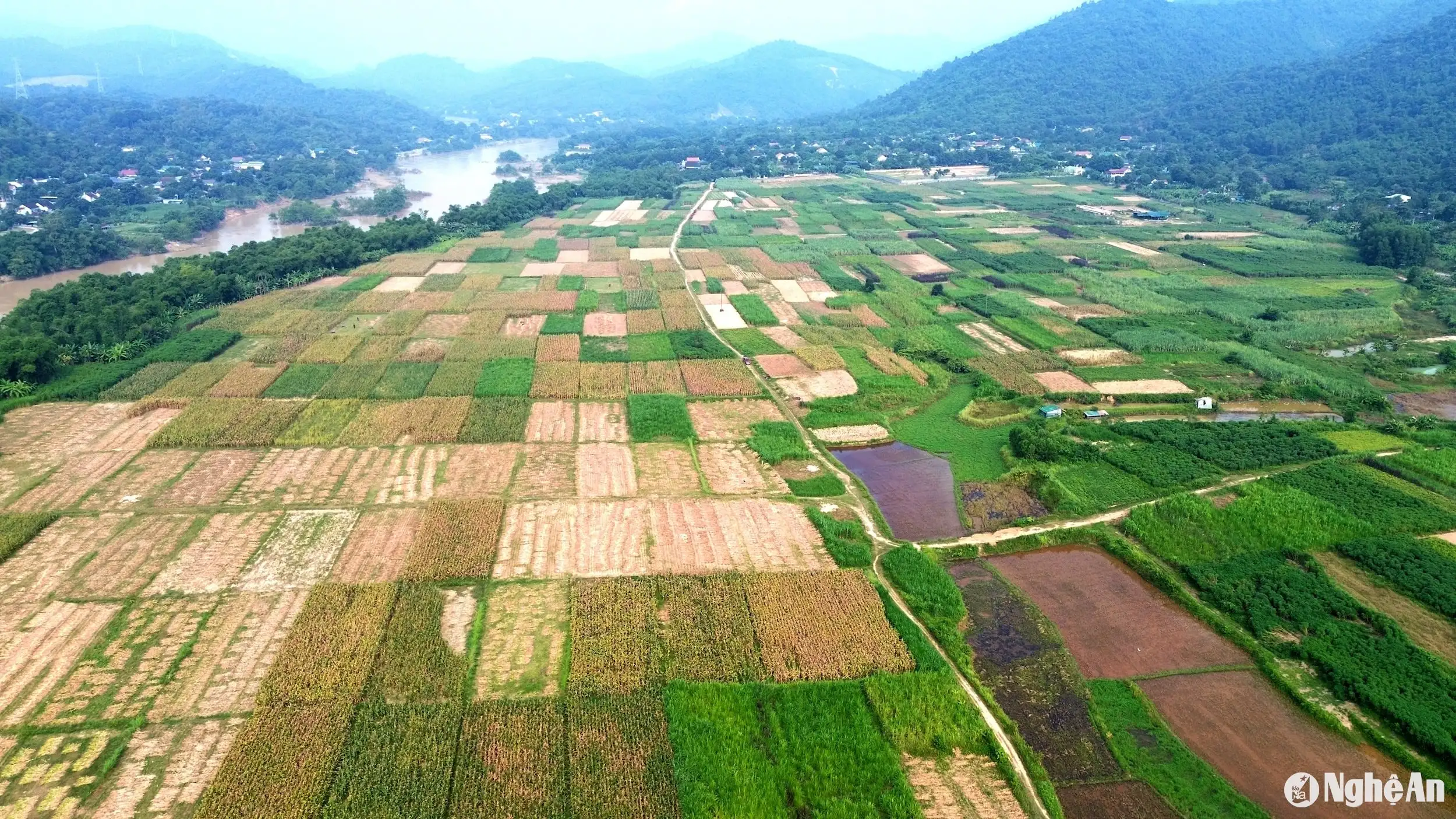 Mùa gieo hạt bên dòng Lam giang