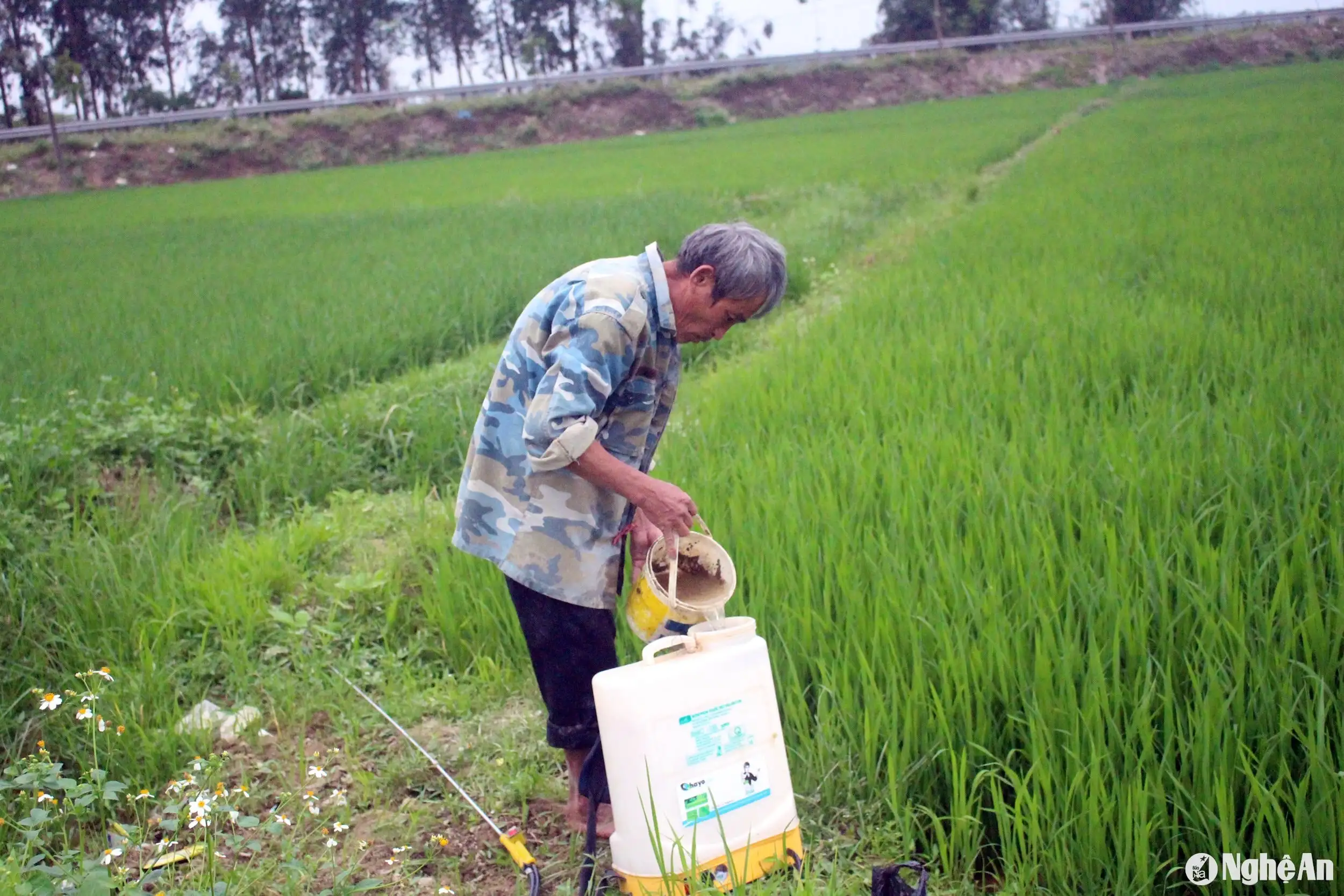 Nghệ An quan tâm đầu tư hệ thống bể chứa thu gom rác thải bảo vệ thực vật