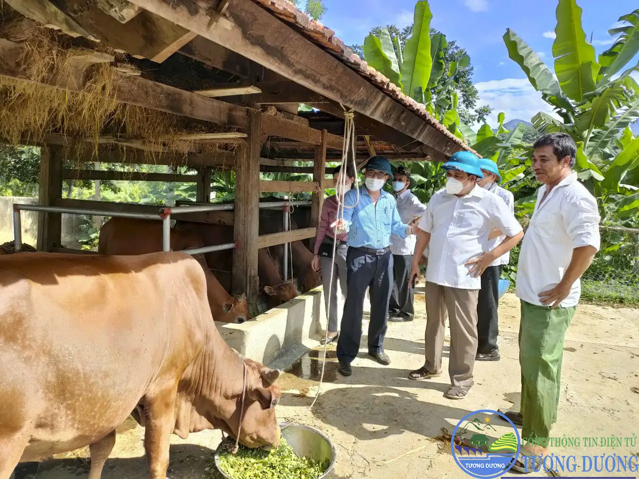 Kinh nghiệm xây dựng và đạt chuẩn nông thôn mới tiến tới xây dựng nông thôn mới nâng cao bền vừng từ xã thuộc huyện nghèo