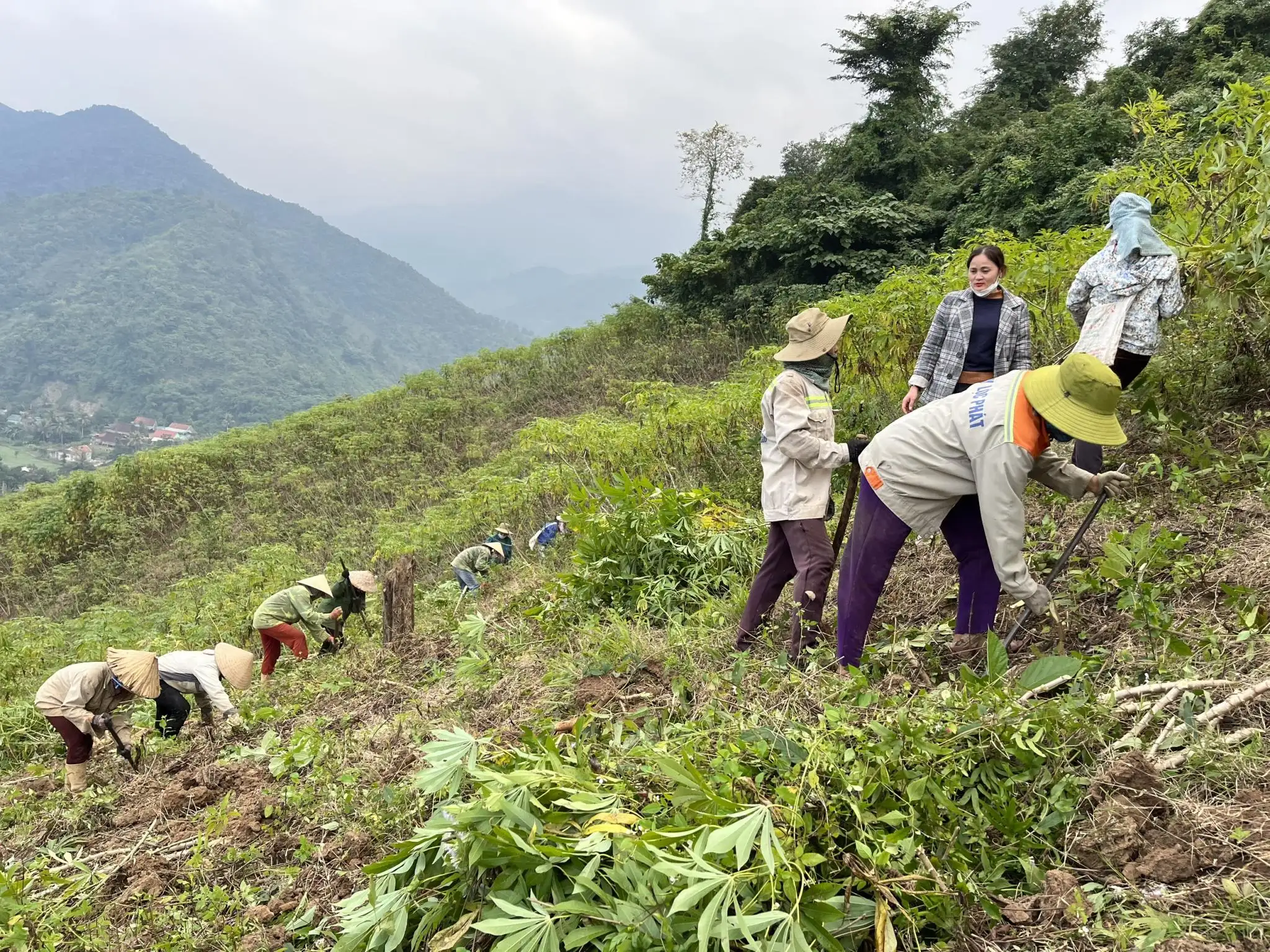 Đẩy mạnh mô hình dân vận khéo để thực hiện Chương trình mục tiêu quốc gia xây dựng nông thôn mới tại vùng đồng bào dân tộc thiểu số tỉnh Nghệ An