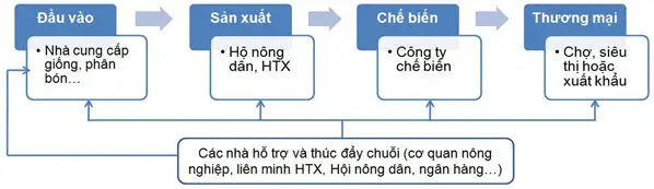 Nghệ An đẩy mạnh liên kết sản xuất và tiêu thụ theo chuổi giá trị nông sản